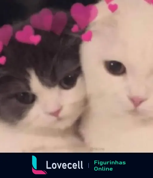 Dois gatinhos fofos com coroas de corações rosas. Um deles é preto e branco, e o outro é branco, em uma pose carinhosa.