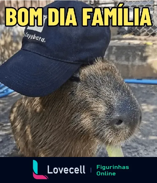 Imagem de uma capivara usando boné com a frase 'Bom Dia Família', perfeita para desejar bom dia com um toque de humor e fofura.