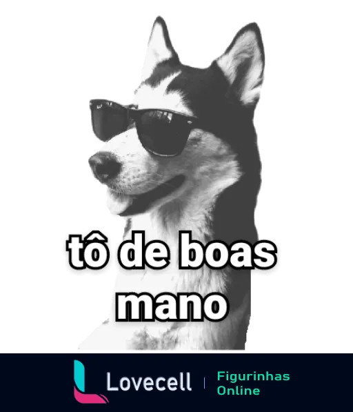 Figurinha de WhatsApp com Husky Siberiano de óculos escuros e texto 'tô de boas mano', expressando relaxamento e confiança