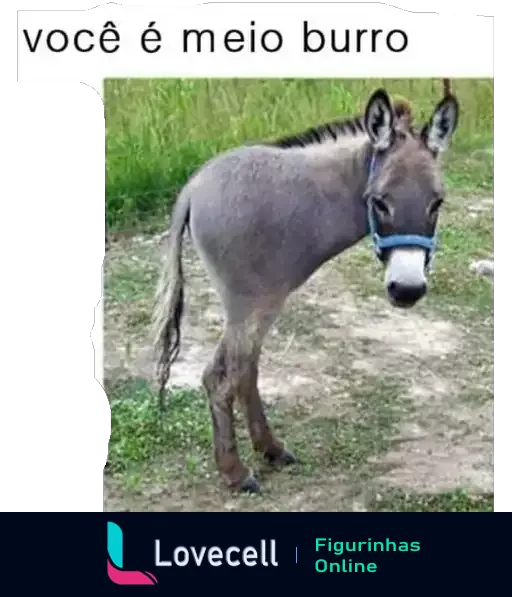 Figurinha de WhatsApp com um burrinho usando cabeçada azul em cenário natural, acompanhado da frase 'você é meio burro', em tom de trocadilho humorístico.