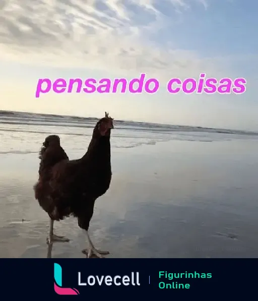 Imagem de galinha na praia com texto 'pensando coisas' - galinha reflexiva