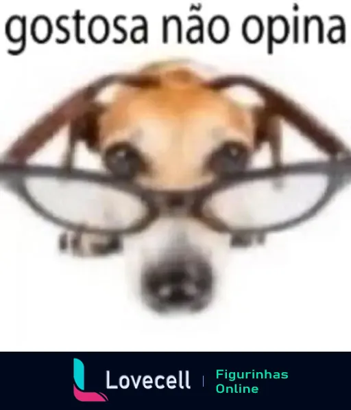 A imagem apresenta um cachorro com óculos, acompanhado do texto 'gostosa não opina', criando uma ilustração humorística.