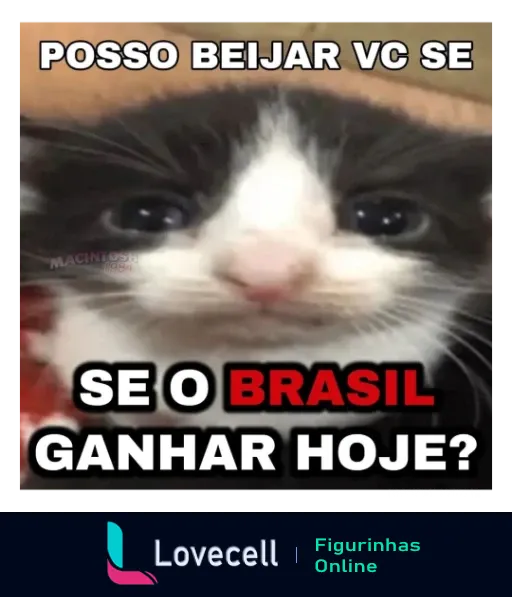 Imagem de um gato com texto ao redor: 'Posso beijar você se o Brasil ganhar hoje?' em destaque. Temas de futebol e relacionamentos.