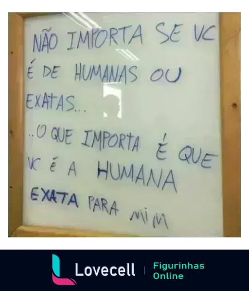 Figurinha com fundo branco e texto romântico 'Não importa se você é de humanas ou exatas... O que importa é que você é a humana exata para mim.'