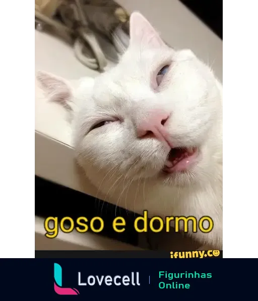 Imagem de um gato branco com expressão relaxada, sorrindo. Texto em amarelo: 'goso e dormo'. Meme divertido.