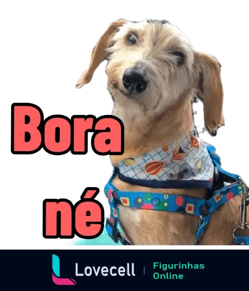 Figurinha de cachorro bege de pelo longo com peitoral colorido e expressão animada, texto 'Bora né' em vermelho