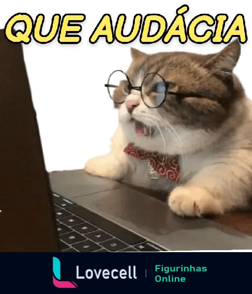 Gato com óculos redondos olhando para laptop, expressando surpresa com a frase 'QUE AUDÁCIA', bem-humorado e intrigado.