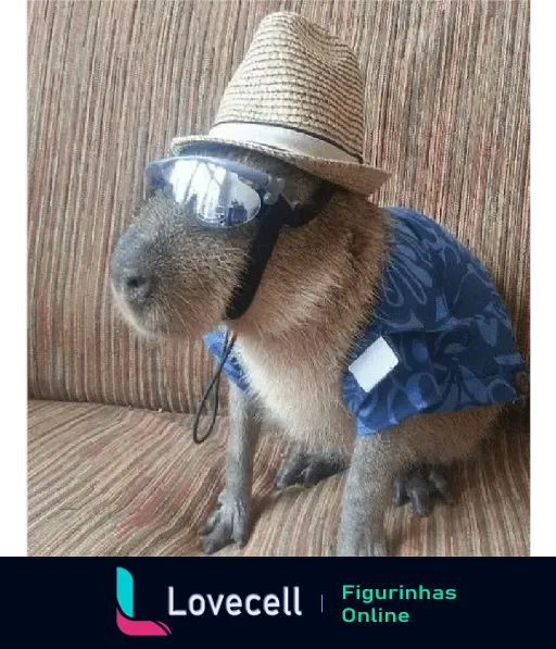 Capivara usando óculos de sol, chapéu de palha e camisa azul, sentada em um sofá com uma expressão descontraída. Apta para envio em aplicativos de mensagens.