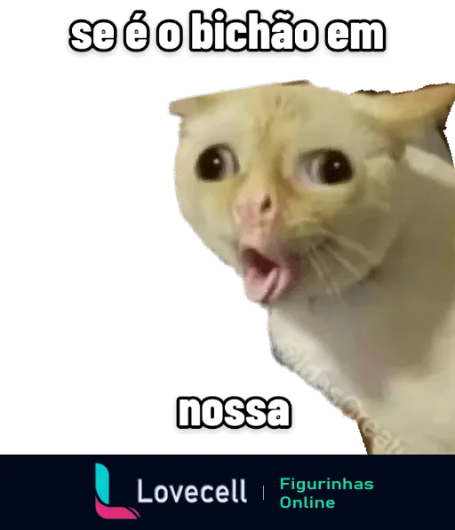 Figurinha de gato branco surpreso com texto 'se é o bichão em nossa' expressando reação exagerada, meme popular