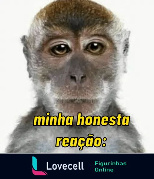 Figurinha de um macaco com expressão séria, acompanhada do texto 'minha honesta reação'.