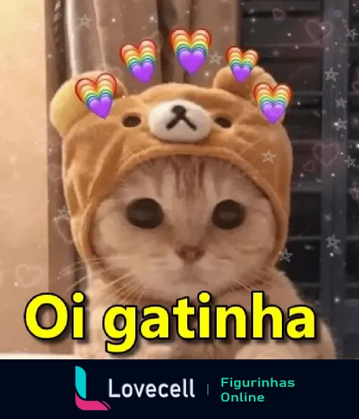 Gatinho fofo com chapéu de ursinho e corações coloridos, com texto 'Oi gatinha', da pasta Gatinhos apaixonados.