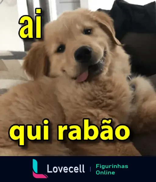 Imagem de um cachorro fofo com a língua de fora e a legenda 'ai qui rabão', representando uma cantada divertida para uso em conversas.