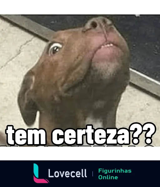 Figurinha de WhatsApp mostrando um cachorro com expressão intrigada e cômica, olhando para cima e boca levemente aberta, com texto 'tem certeza??' em preto