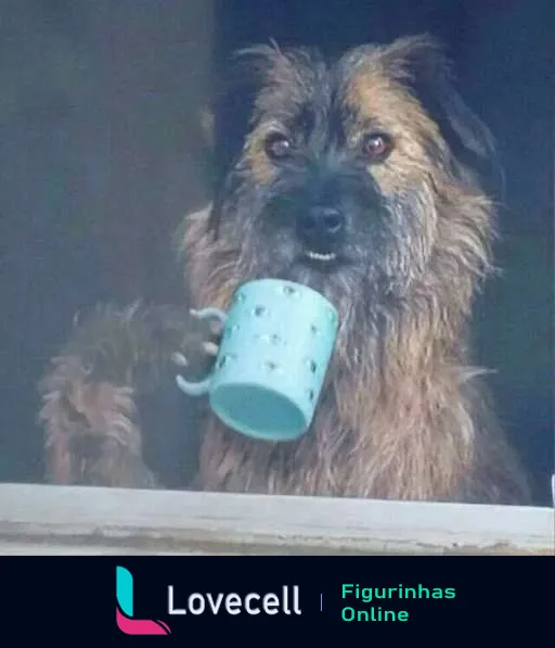 Cachorro peludo segurando caneca azul com bolinhas brancas parecendo contemplativo