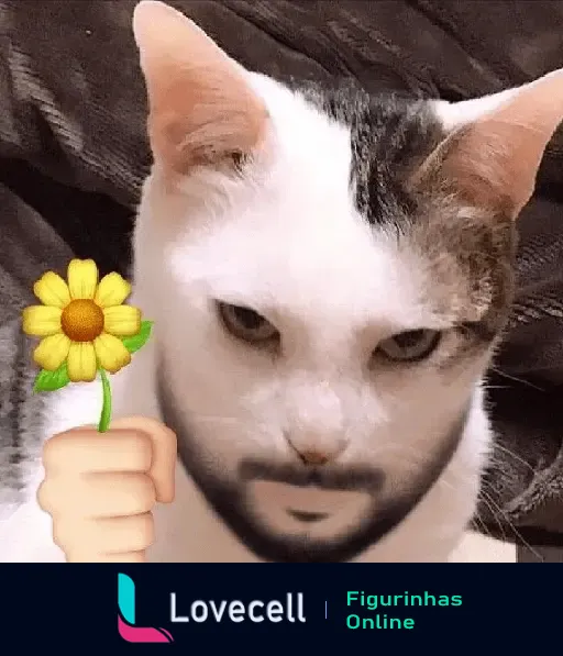 Gato branco e marrom com expressão séria, possuindo barba editada digitalmente e segurando uma flor amarela em um fundo escuro.