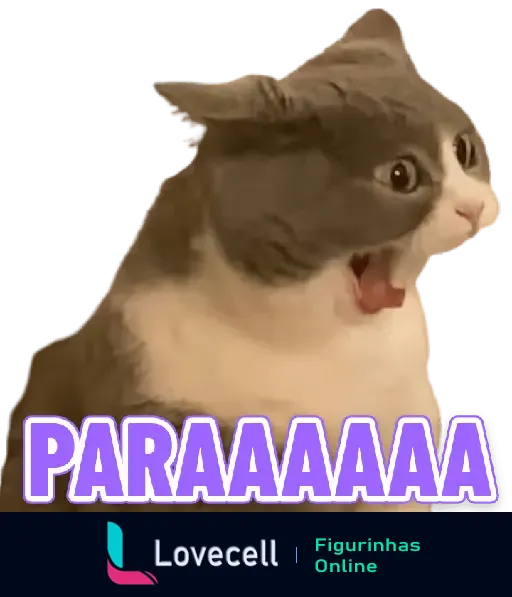 Figurinha animada de um gato cinza e branco com expressão de surpresa gritando 'PARAAAAA', ideal para reações engraçadas no WhatsApp.