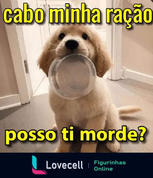 Cachorro fofo pedindo comida com tigela vazia na boca e frase engraçada 'cabo minha ração posso ti morde?'