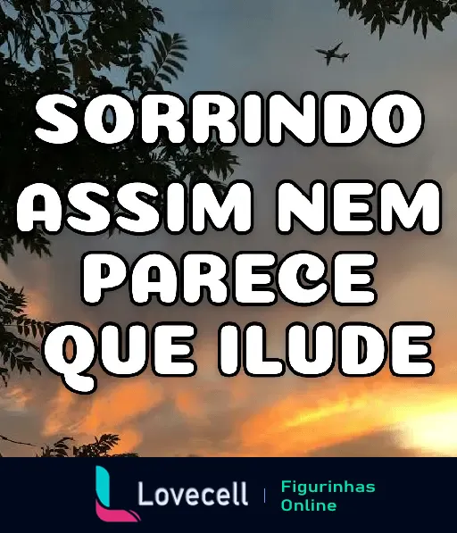 Imagem de um pôr do sol com um avião voando ao fundo e a frase 'Sorrindo assim nem parece que ilude' escrita em branco.