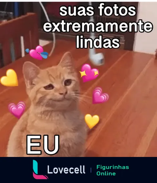 Figura de um gato sorridente cercado de corações, com o texto 'suas fotos extremamente lindas' e 'EU', muito usada para elogiar fotos.