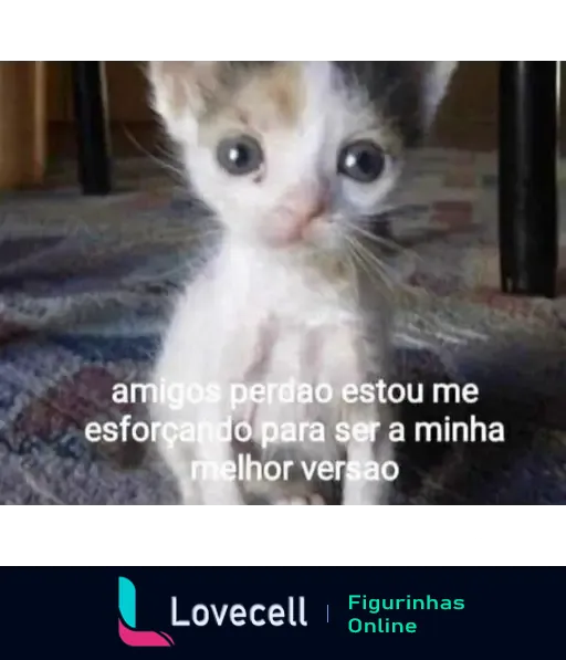 Imagem de um gatinho com olhos grandes olhando para a câmera, sobre um tapete. Texto na imagem: 'amigos perdão estou me esforçando para ser a minha melhor versão'.