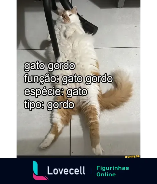 Meme de um gato gordo deitado sob uma cadeira, com textos explicando sua função e espécie. Título: 'gato gordo'.