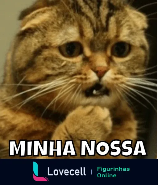 Figurinha de WhatsApp com gato surpreso e patas levantadas ao rosto com o texto 'MINHA NOSSA' na parte inferior