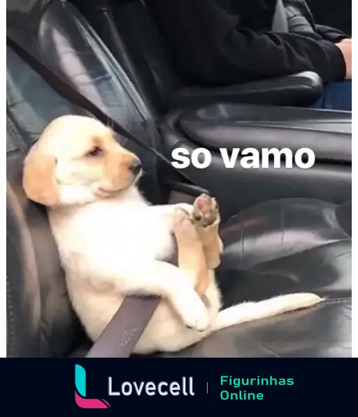 Figurinha de um labrador amarelo sentado no banco de carro com patas cruzadas e texto 'Só vamos' sugerindo entusiasmo para uma viagem