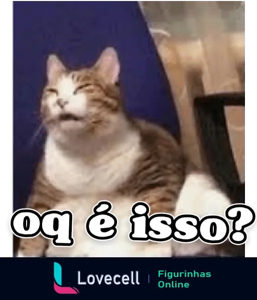 Figurinha de gato com expressão confusa e texto 'oq é isso?'