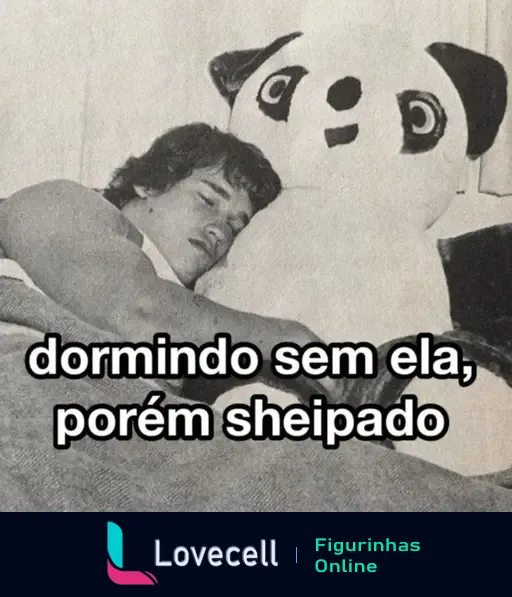 Homem musculoso dormindo abraçado a um bicho de pelúcia com a legenda 'Dormindo sem ela, porém sheipado'.