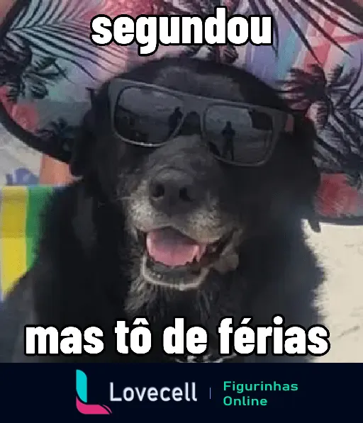 Cachorro de óculos escuros e chapéu tropical com a frase 'Segundou mas tô de férias'