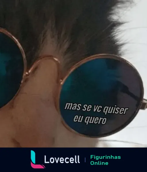 Imagem de um gato de óculos escuros com a frase 'mas se vc quiser eu quero'. Ideal para cantadas e indiretas divertidas.