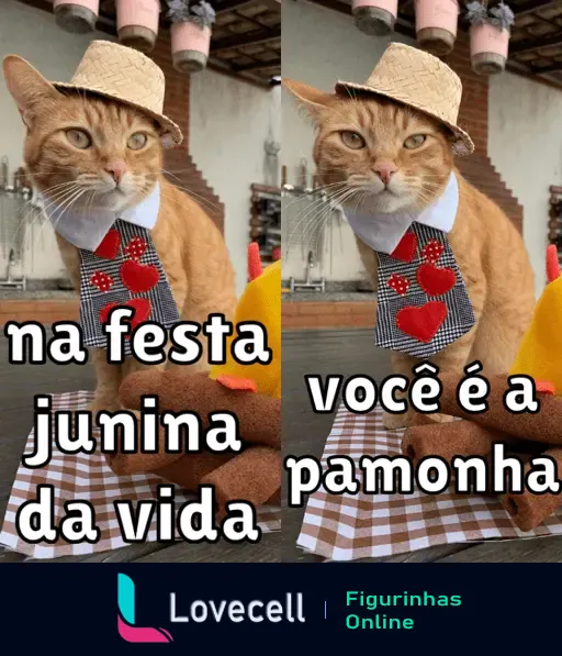 Gato vestido com gravata de corações e chapéu de palha em festa junina, com texto engraçado dizendo 'na festa junina da vida você é a pamonha'.