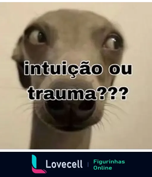 Um cachorro com expressão curiosa e uma legenda em negrito que diz 'intuição ou trauma??'. Representa um meme sobre interpretações emocionais.