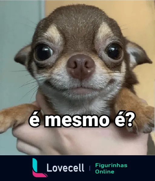 Figurinha de WhatsApp mostrando um chihuahua marrom com expressão intrigada e olhos grandes, com o texto 'é mesmo é?' em destaque, indicando ceticismo ou ironia