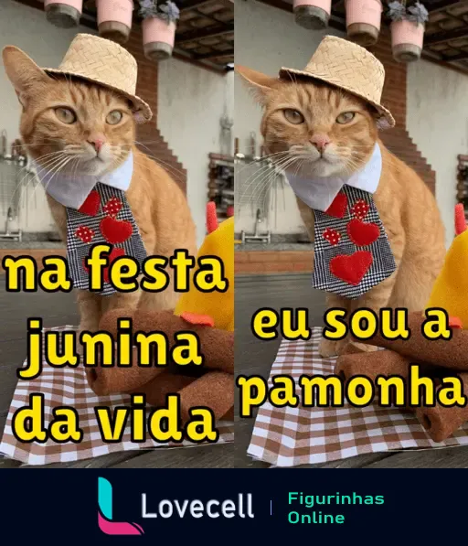 Gato vestido para festa junina com chapéu de palha e laço, acompanhado do texto engraçado: 'na festa junina da vida eu sou a pamonha'.