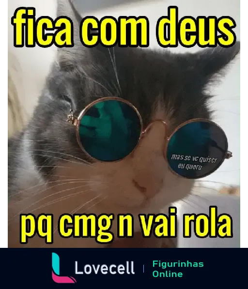 Gato usando óculos de sol com texto 'fica com deus pq cmg n vai rola'. Imagem engraçada e irônica para cantadas e indiretas.