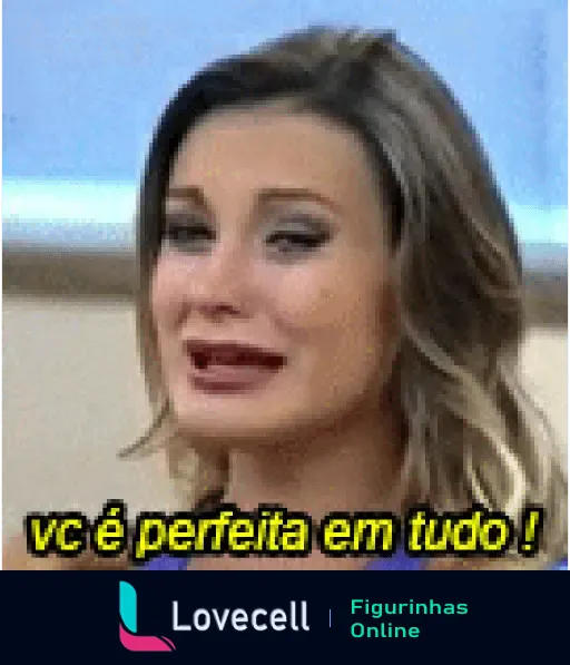 Mulher sorrindo com lágrimas nos olhos e a frase 'vc é perfeita em tudo!' embaixo, na figurinha 'Feliz Aniversário da Andressa', expressando emoção e carinho.