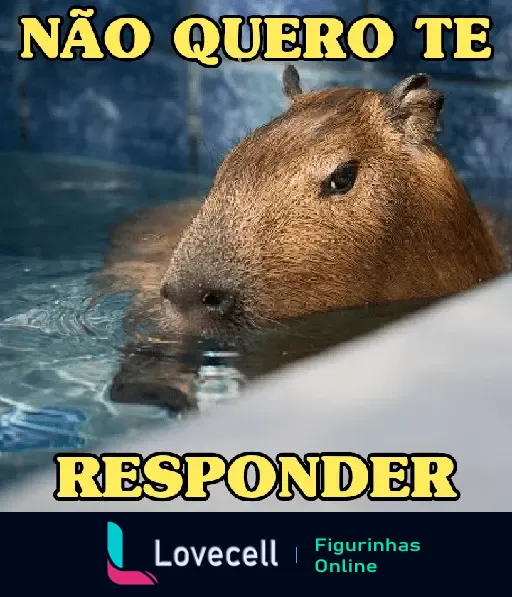 Capivara relaxando na piscina com expressão indiferente e frase 'não quero te responder' em destaque.