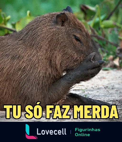 Figurinha engraçada de uma capivara com a legenda 'Tu Só Faz Merda', ideal para expressar decepção ou frustração de forma humorística.