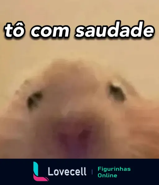 Céu desfocado de um animal fofo com olhos grandes e expressão carinhosa acompanhado da frase 'tô com saudade'.