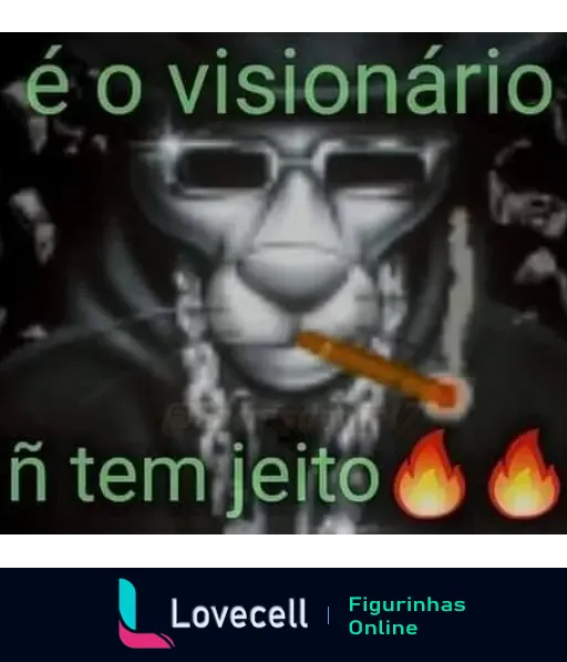 Figurinha com fundo escuro e figura de um leão em óculos escuros. Texto: 'é o visionário' e 'ñ tem jeito🔥'.