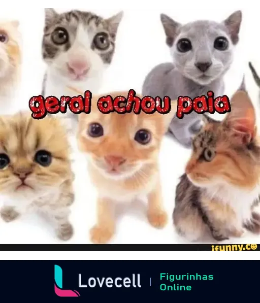 Meme com vários gatinhos fofos e o texto 'geral achou paia', representando a reação negativa do público.