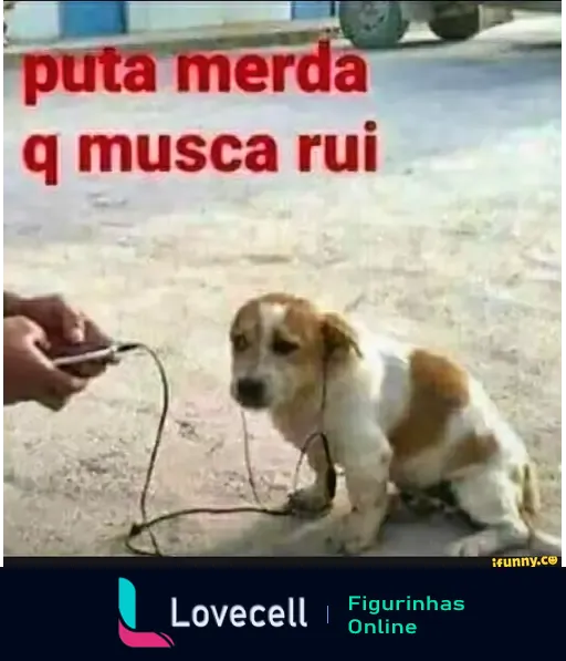 Um cachorro sentado no chão com fones de ouvido conectados a um celular. Acima, um texto em letra grande diz: 'puta merda q musca rui'.