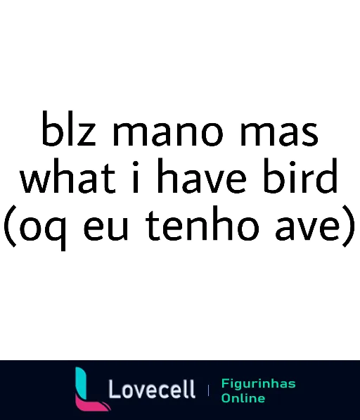 Figurinha com texto 'Blz mano what I have bird', brincando com erro de tradução e gírias em inglês e português