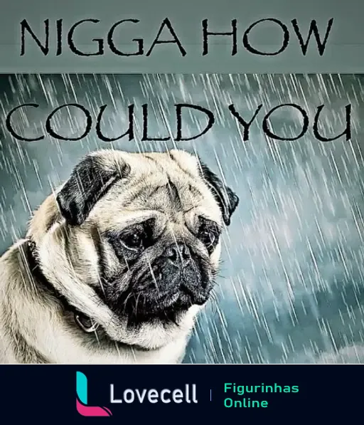 Figura de um pug triste sob a chuva, com a frase 'NIGGA HOW COULD YOU' escrita acima dele em letras maiúsculas.