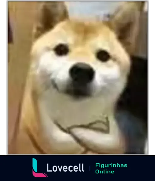 Cachorro Shiba Inu sorrindo alegremente com olhos brilhantes e expressão de felicidade, imagem suavemente desfocada