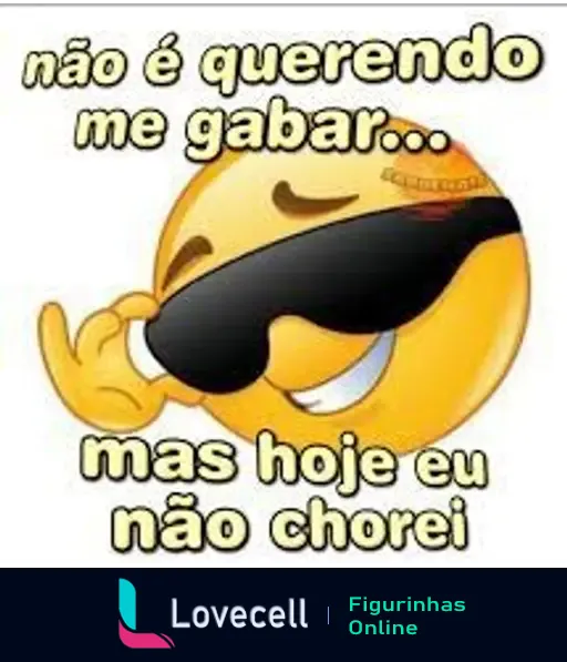 Emoji sorridente com óculos escuros, fazendo gesto de charme. Texto: 'não é querendo me gabar... mas hoje eu não chorei'.