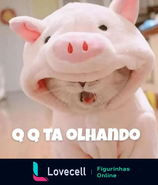 Gato vestido de porco rosa com expressão surpresa e texto 'QQ TA OLHANDO' em maiúsculas