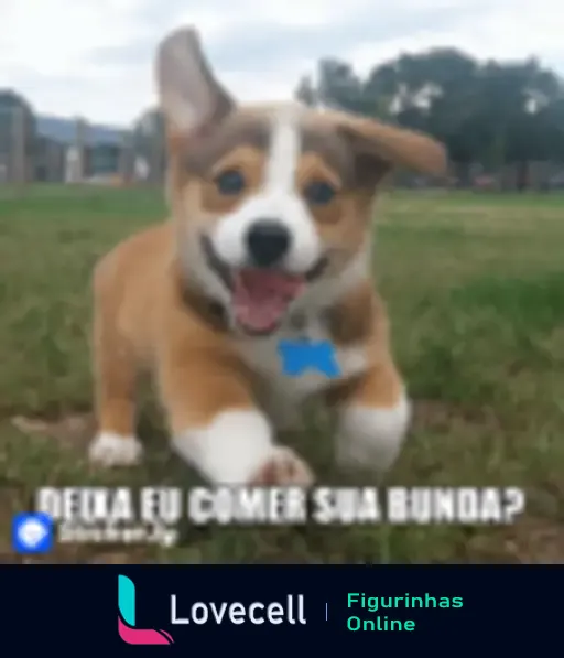 Um cachorro sorridente correndo em um gramado com a legenda 'Deixa eu comer sua bunda?'