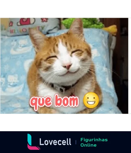 Figurinha de gato laranja e branco sorrindo com os olhos fechados e a frase 'que bom', expressando felicidade e contentamento